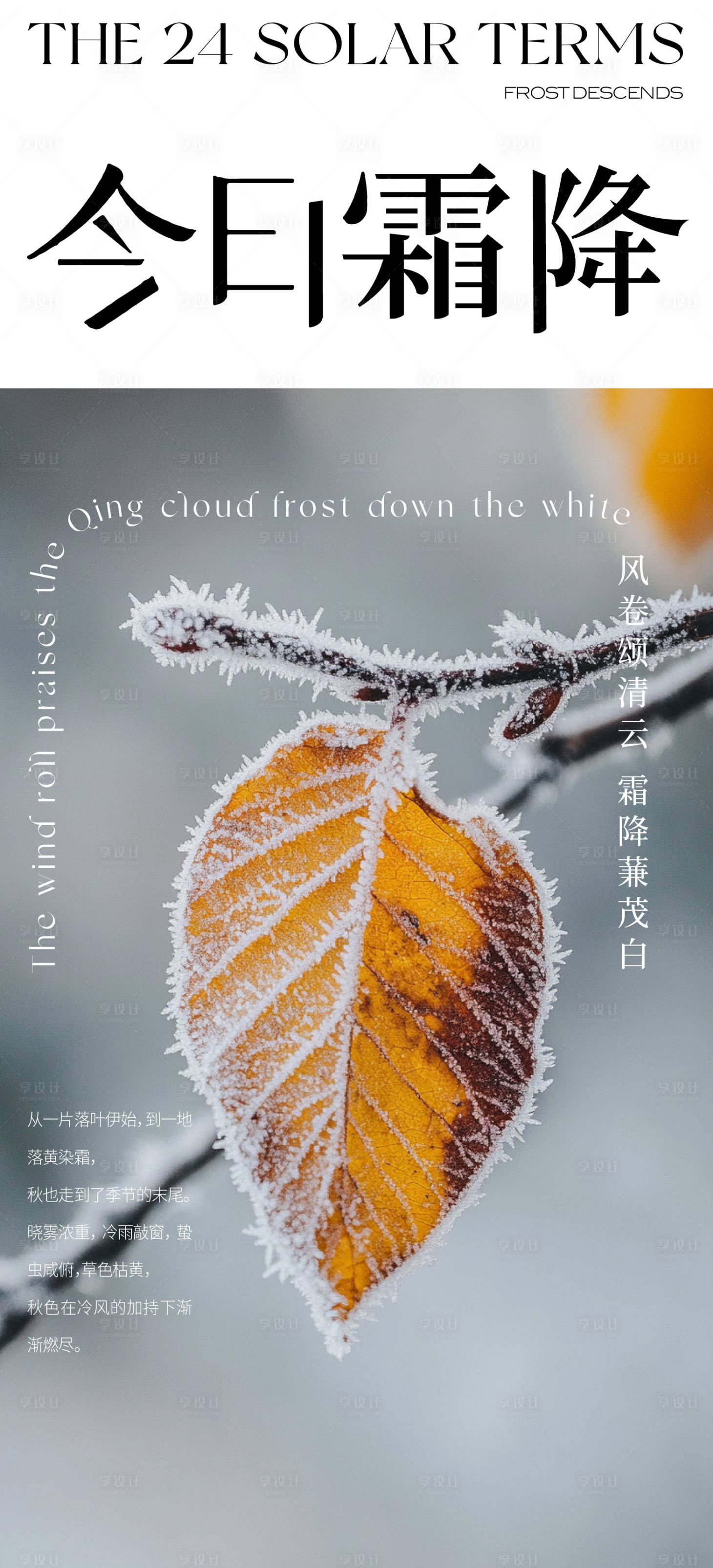 源文件下載【享設計】搜索編號：51110026721368534【霜降】