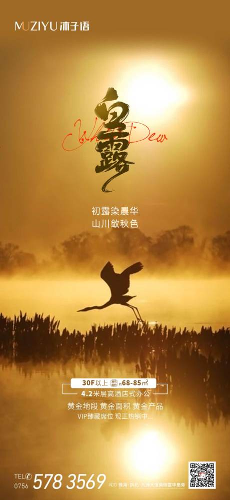 源文件下载【地产白露海报】编号：95740026609364979
