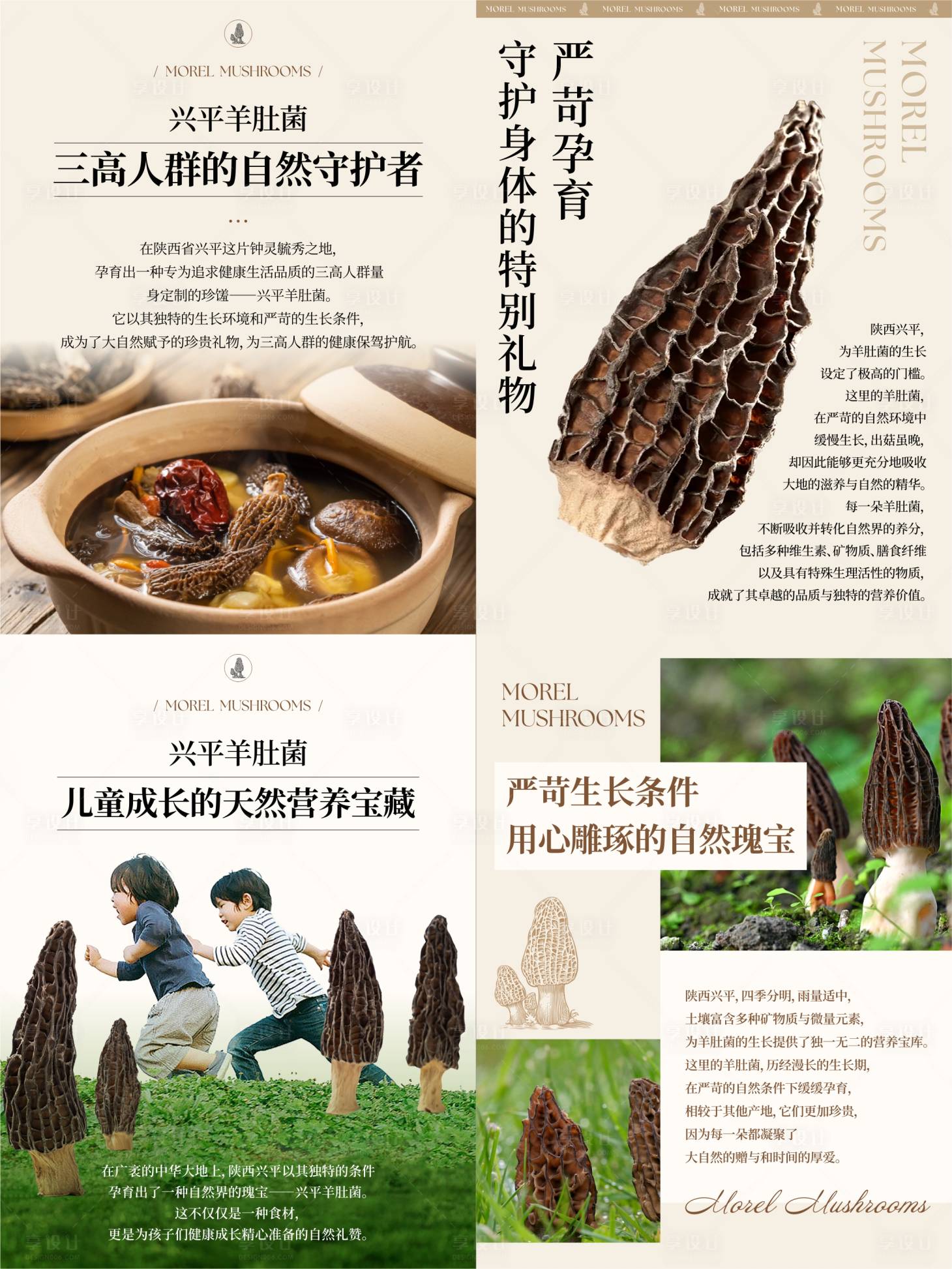 源文件下载【享设计】搜索编号：28740027028799337【羊肚菌系列海报】