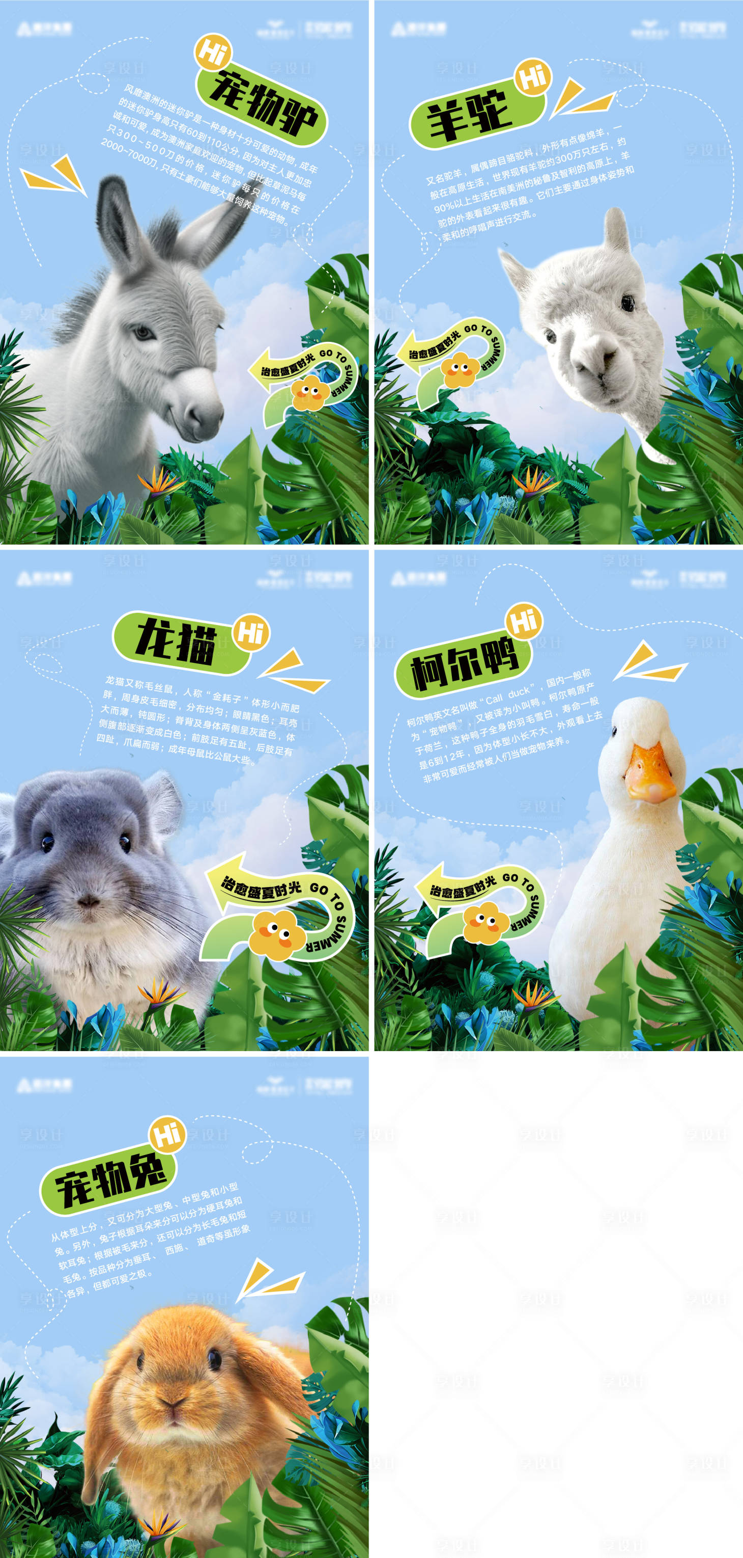 源文件下载【萌宠活动宣传系列海报】编号：36820026997225239