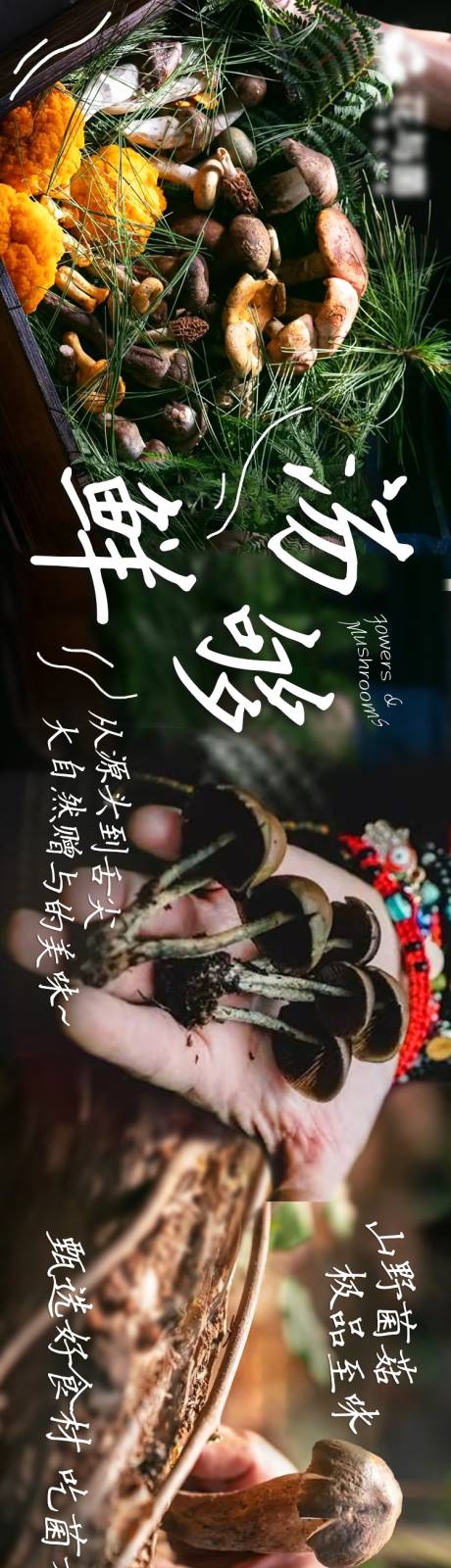 云南野生菌火锅五图