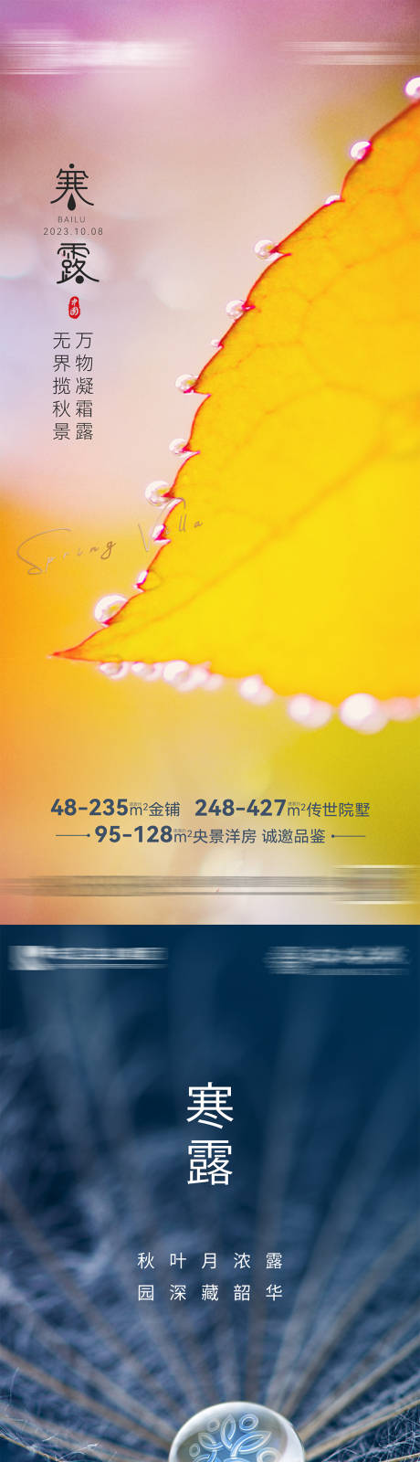 源文件下载【寒露节气系列海报】编号：77530026587244255