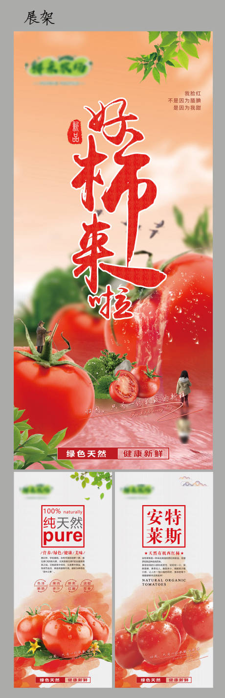 西红柿宣传
