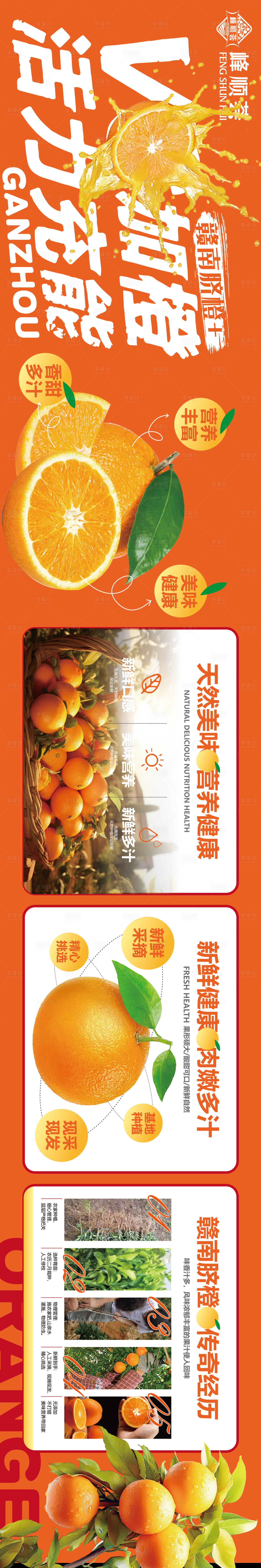 源文件下載【享設計】搜索編號：28930026853192034【贛南臍橙生態水果】