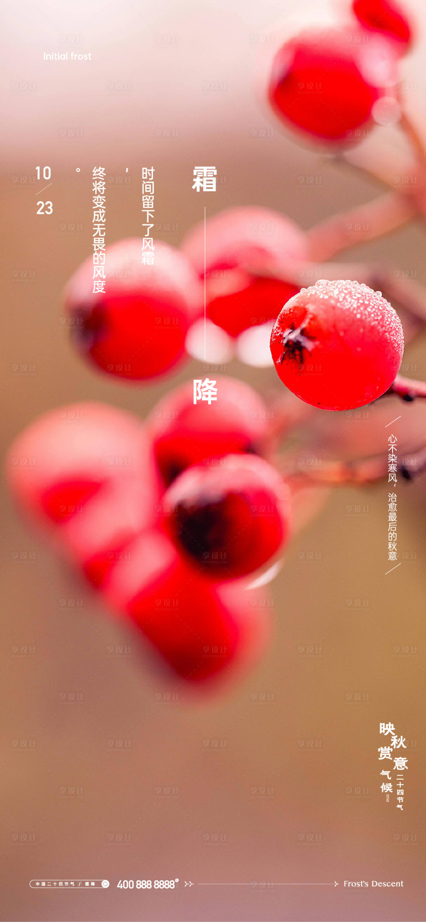 源文件下载【享设计】搜索编号：83770026799195523【霜降海报】