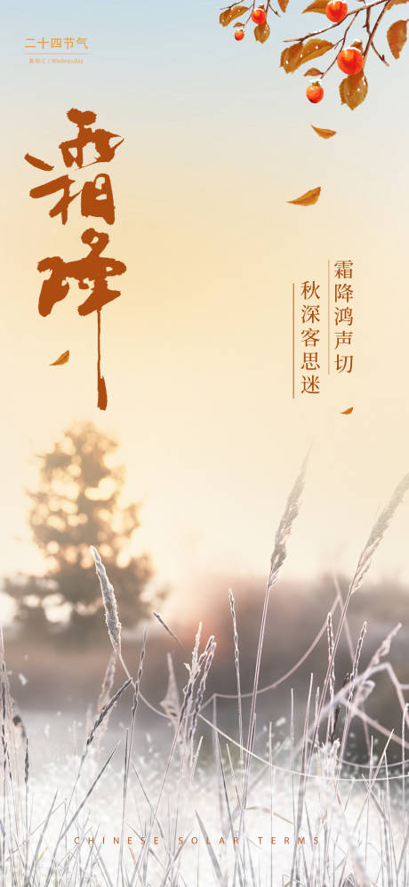 源文件下載【霜降蘆葦海報】編號：93990026807973986