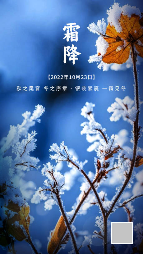 霜降海报