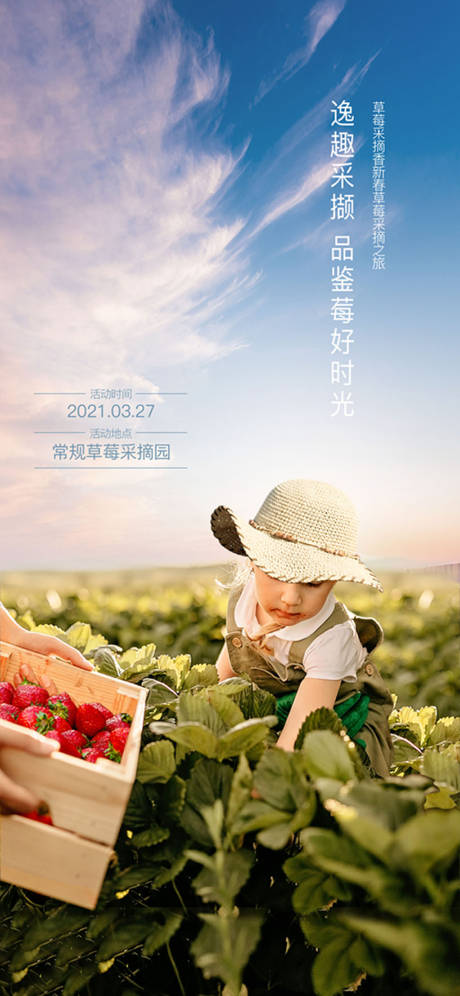 源文件下载【春节草莓采摘活动海报】编号：81510027008409300