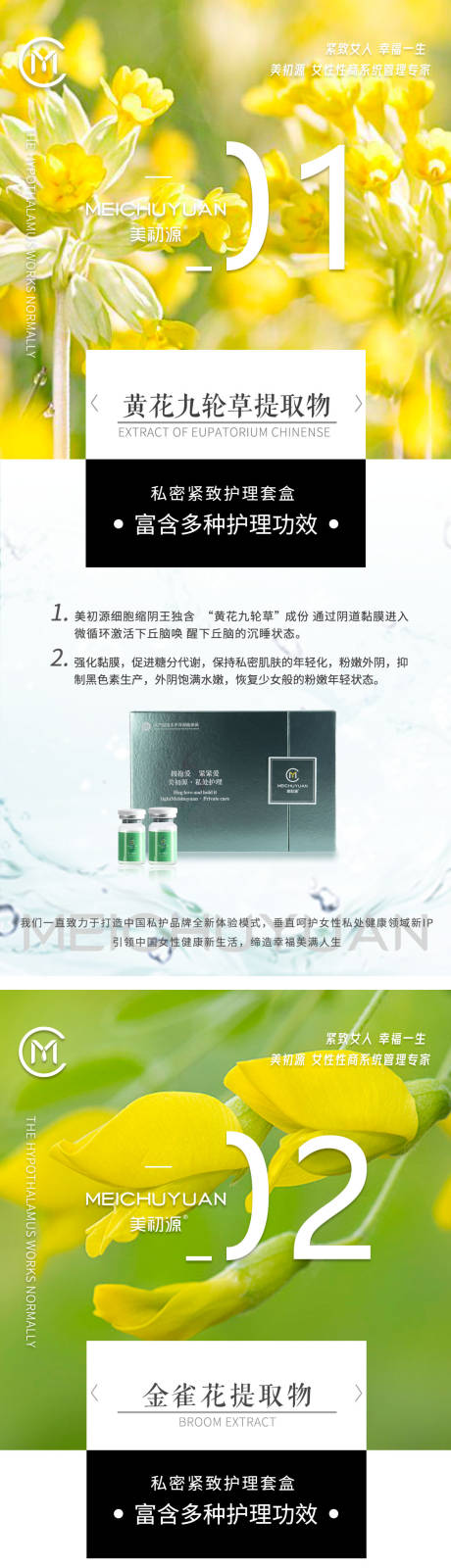 源文件下载【医美美业培训招生宣传系列海报】编号：22390026739115104