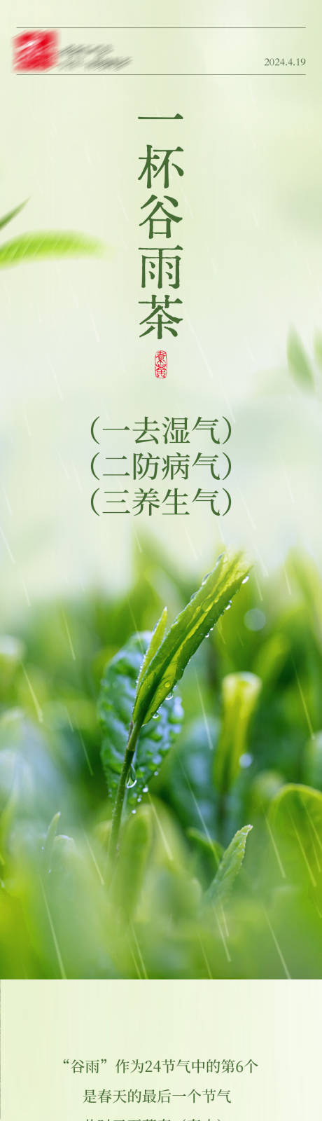 茶叶谷雨饮茶推文长图