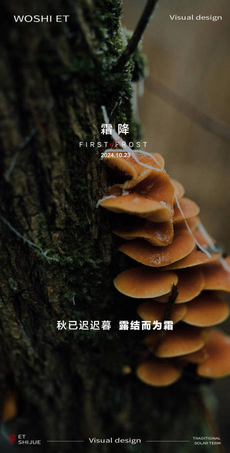 源文件下載【享設計】搜索編號：16860026807353818【霜降海報】