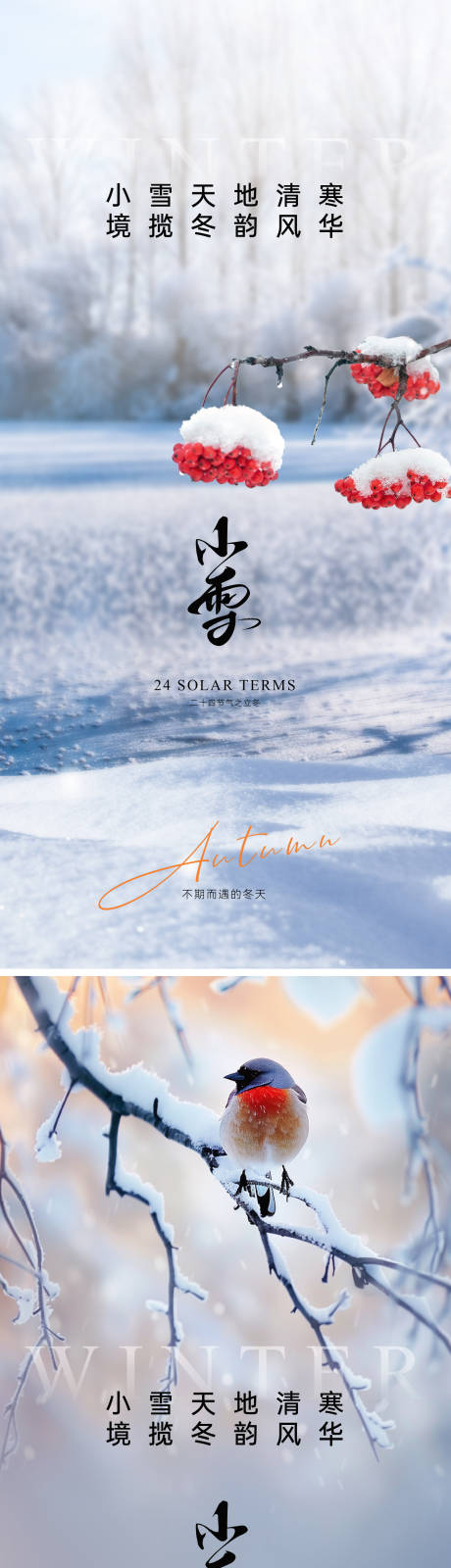 源文件下載【享設計】搜索編號：88810026895269588【小雪海報】