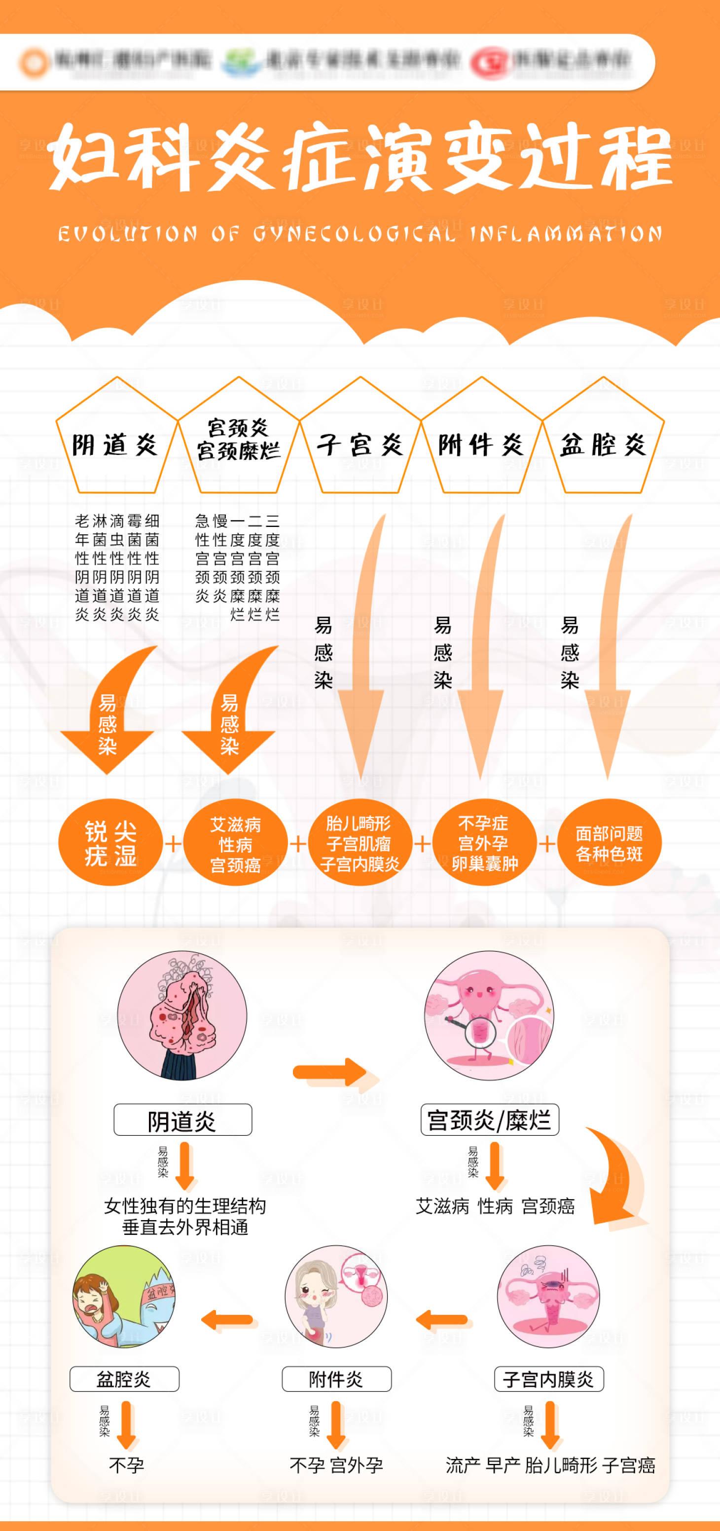 源文件下載【婦科炎癥演變過程海報】編號：77920026584286237