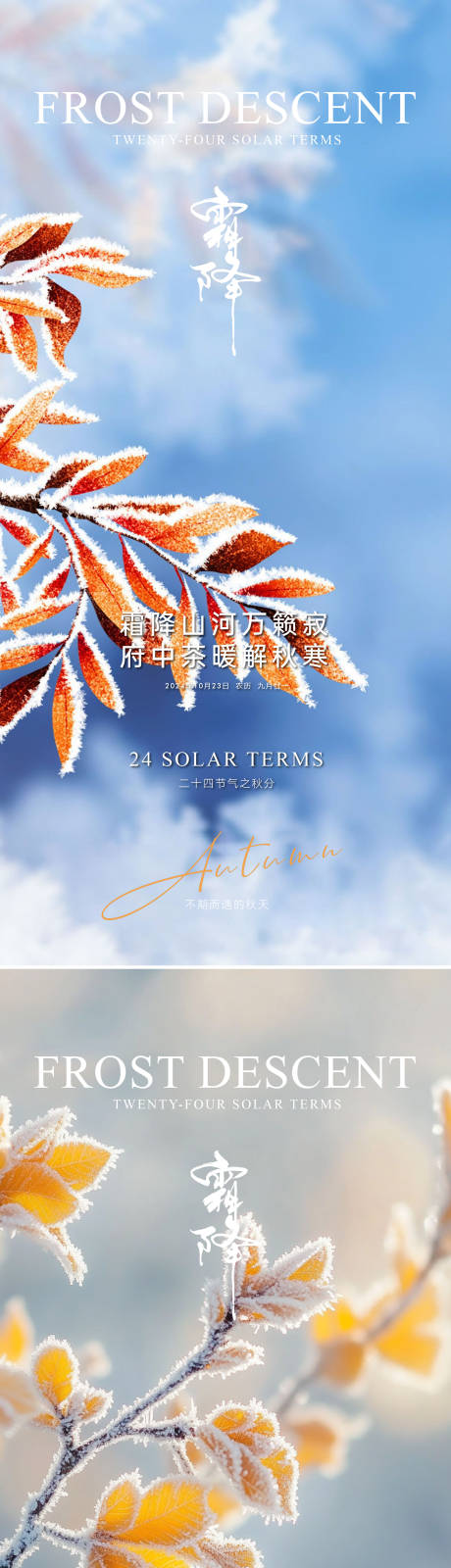 源文件下载【霜降海报】编号：53090026642004628