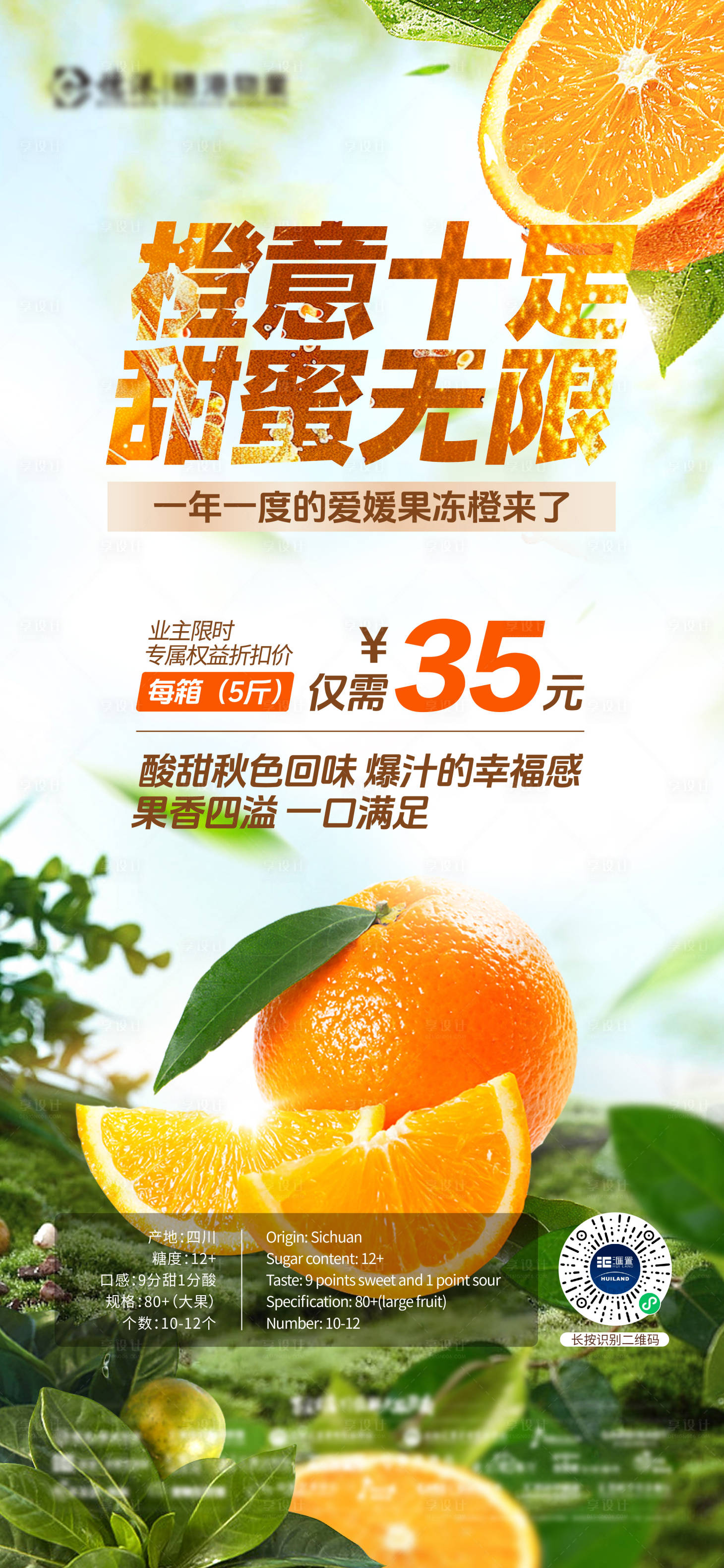 源文件下载【鲜果鲜橙海报】编号：19130026898611778
