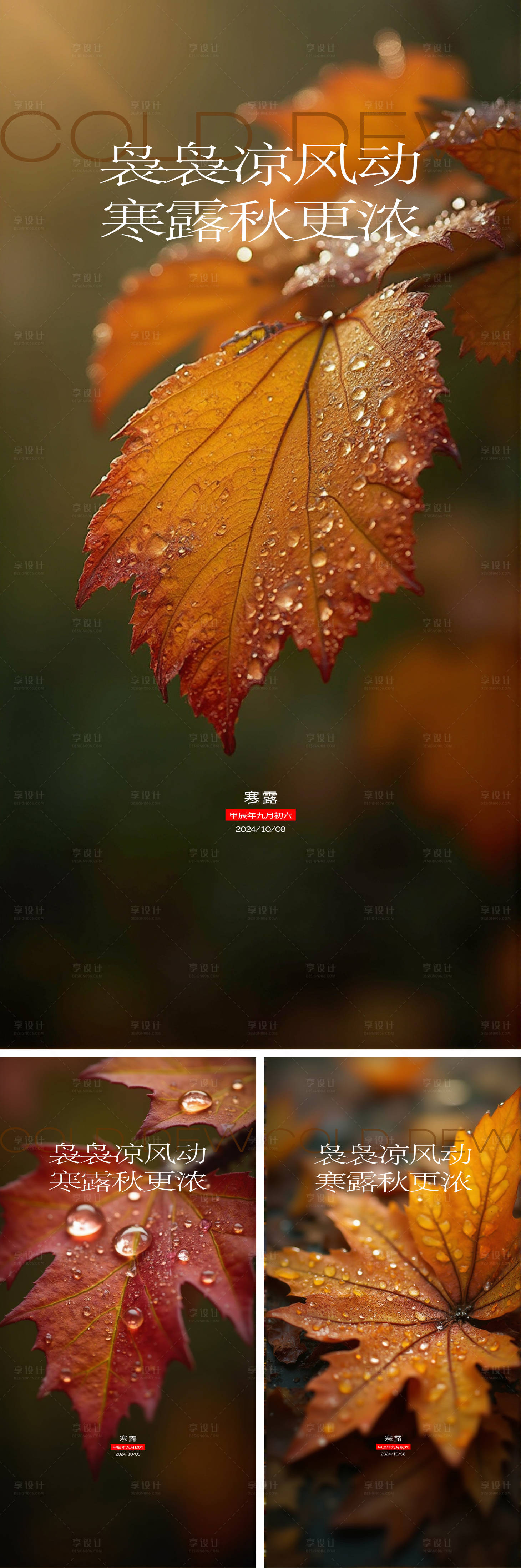 源文件下载【享设计】搜索编号：48150026586697268【寒露节气海报】