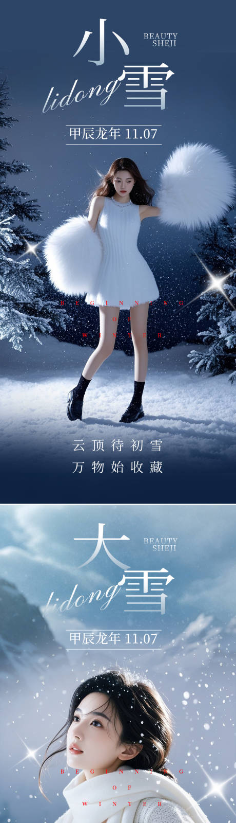 源文件下载【小雪大雪节气医美海报】编号：10690027121455469