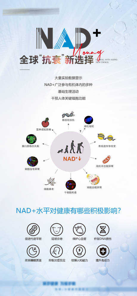 源文件下载【NAD+抗衰海报】编号：28300027423651859