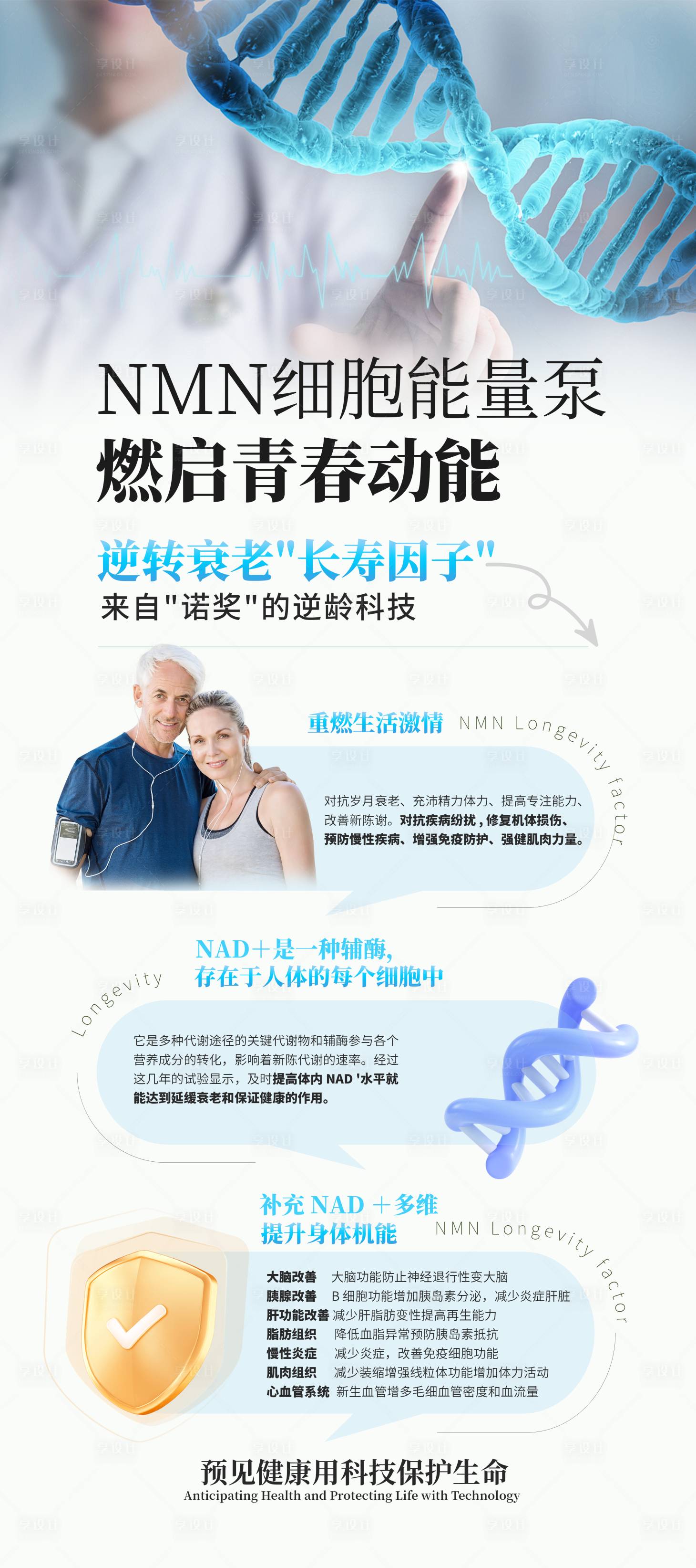 源文件下載【享設(shè)計(jì)】搜索編號(hào)：62490027185009554【NMN細(xì)胞能量泵展架 】