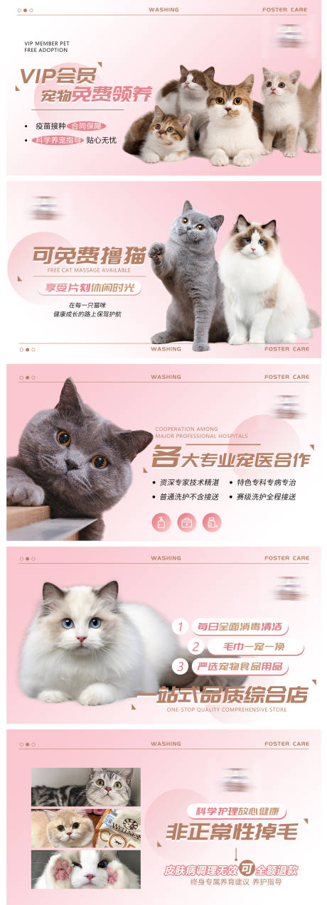 源文件下载【宠物猫咪大众点评轮播图banner】编号：12630027477986238