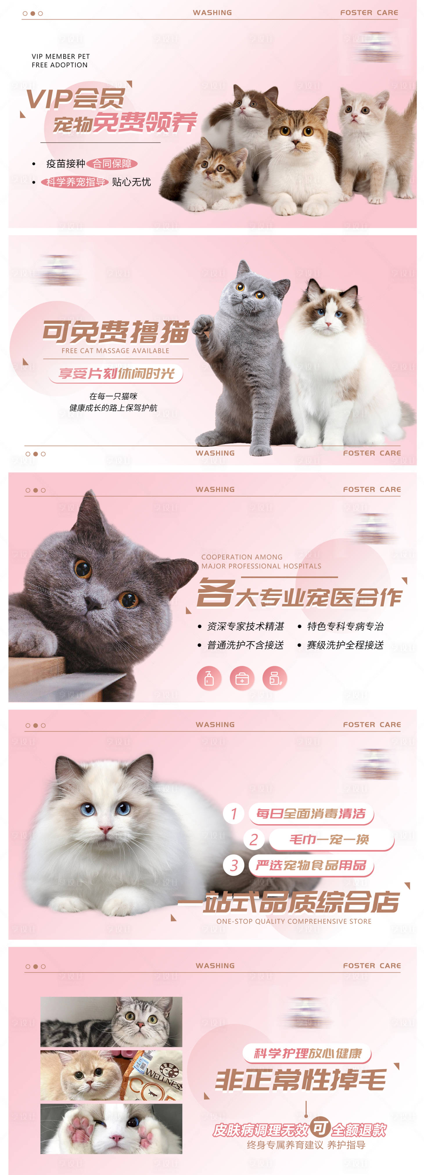 源文件下载【享设计】搜索编号：12630027477986238【宠物猫咪大众点评轮播图banner】