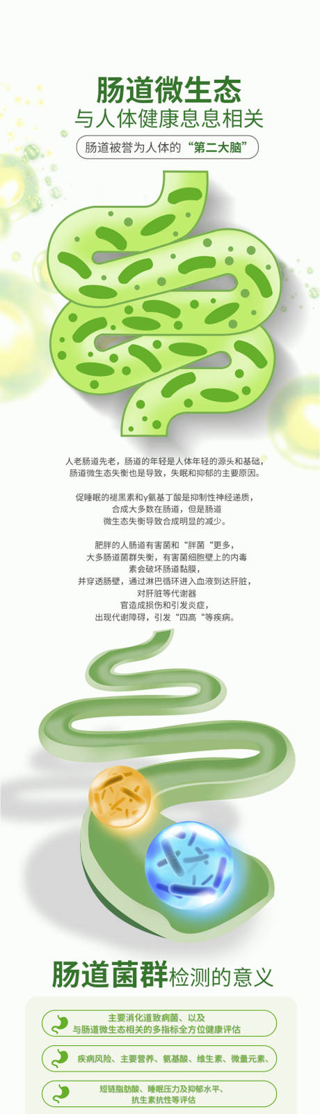 源文件下载【大健康肠道菌群海报】编号：14400027488432039