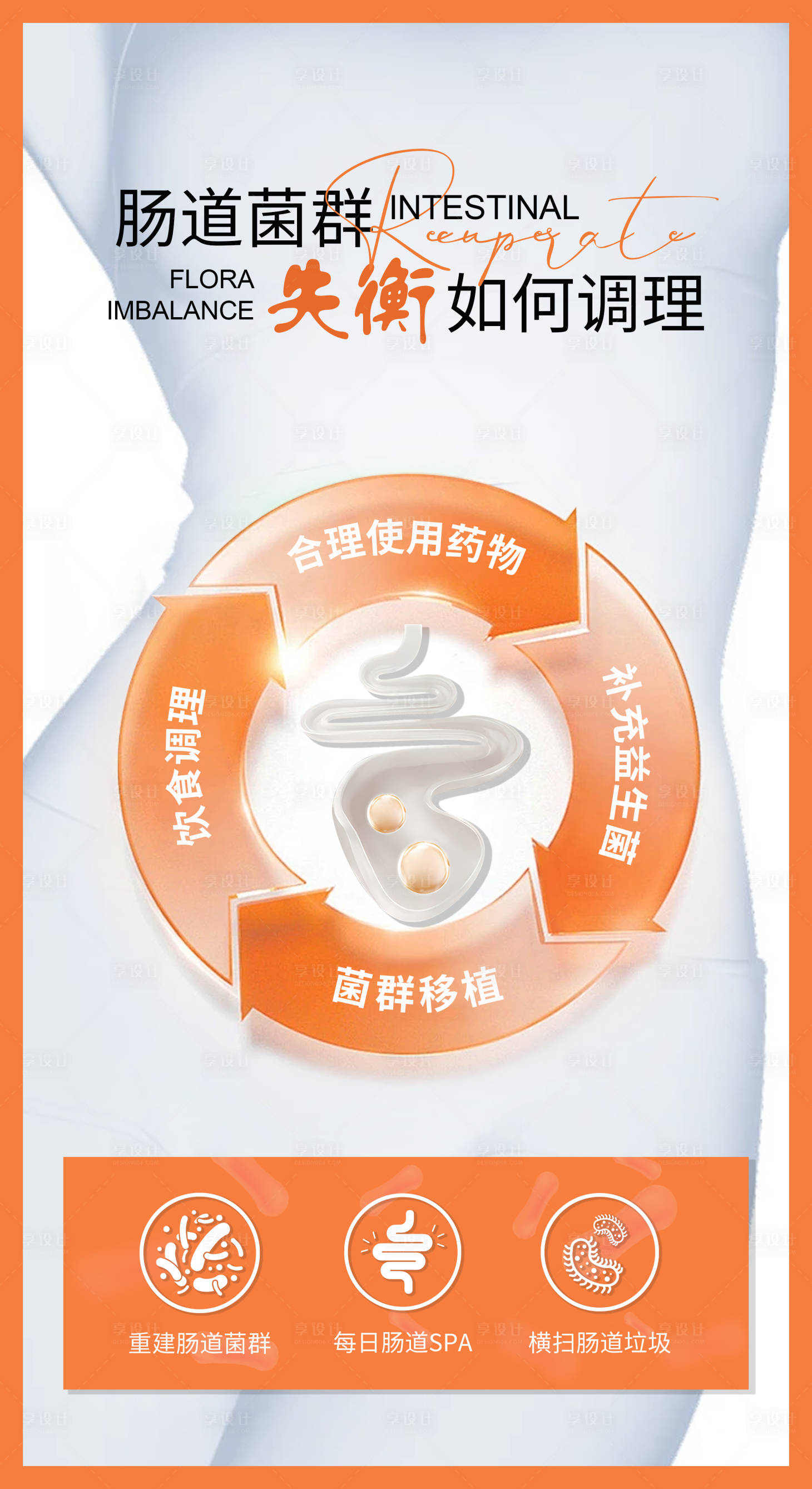 源文件下載【享設(shè)計】搜索編號：35870027457033570【腸道菌群】