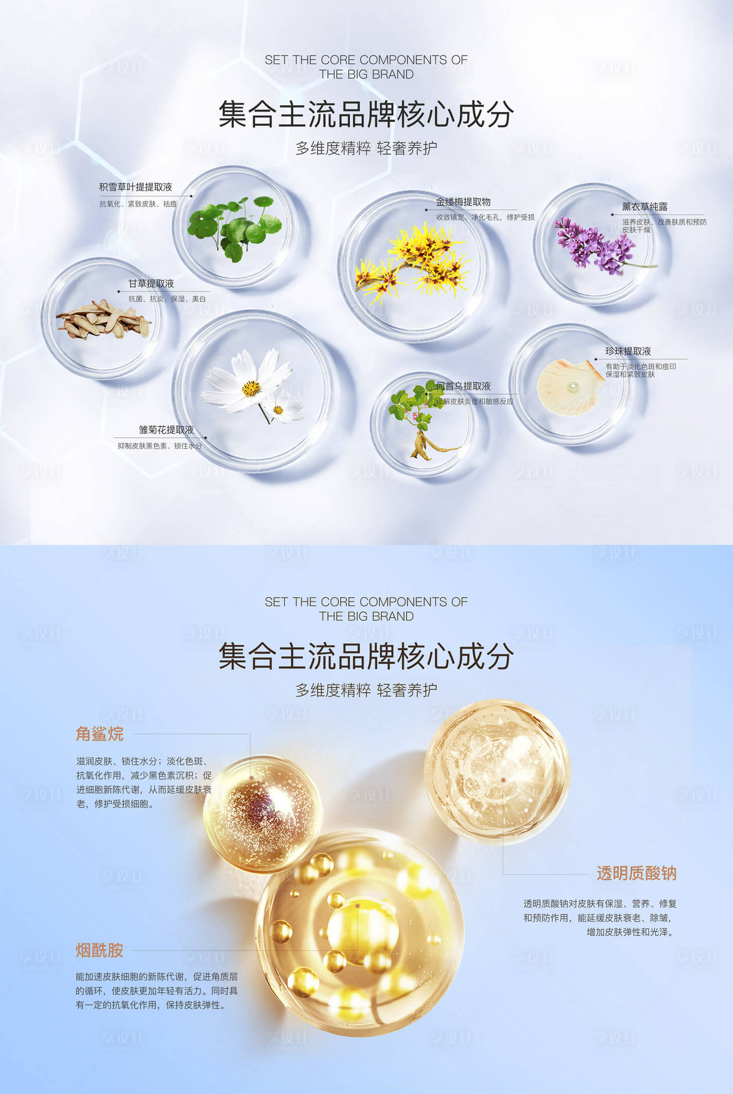 源文件下载【享设计】搜索编号：74420027291293393【护肤产品成分展板】
