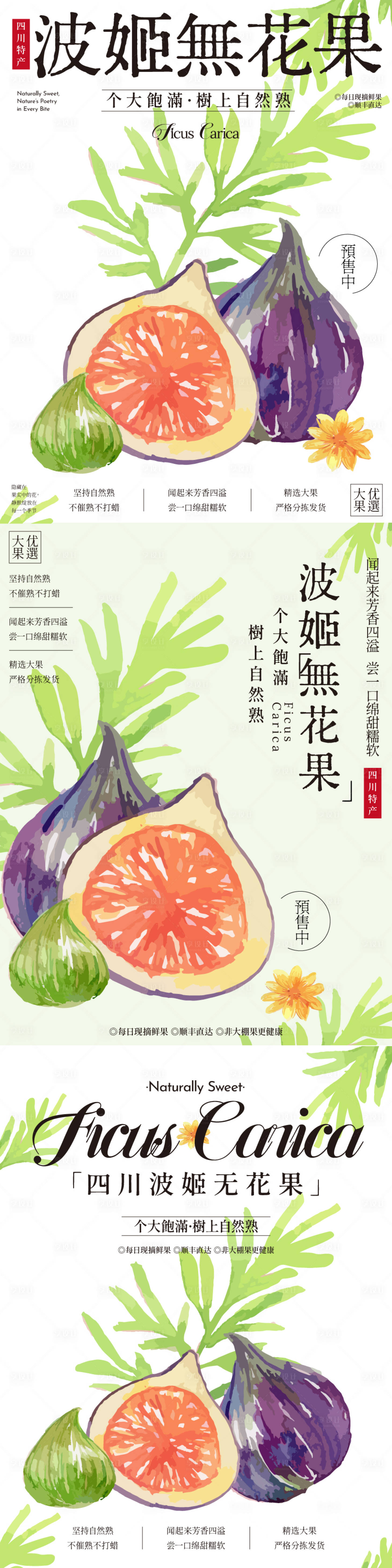 源文件下载【享设计】搜索编号：67830027196493476【波姬紫皮无花果插画海报】