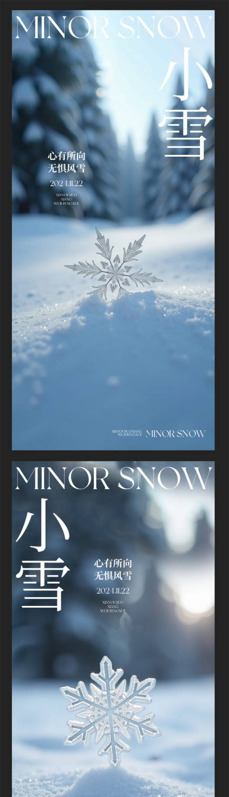 源文件下载【享设计】搜索编号：20130027284211403【小雪雪花特写海报】