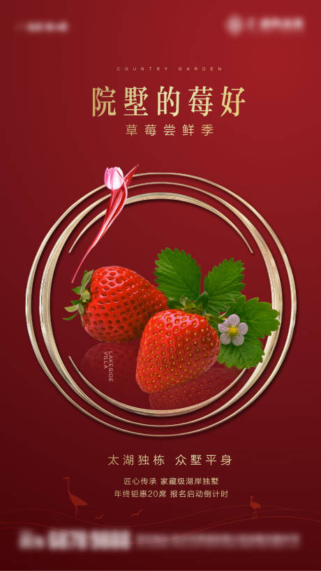 源文件下载【房地产草莓活动微信海报】编号：76450027240615317