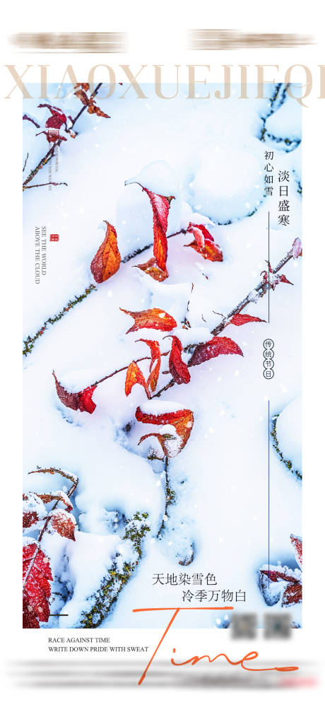 小雪海报