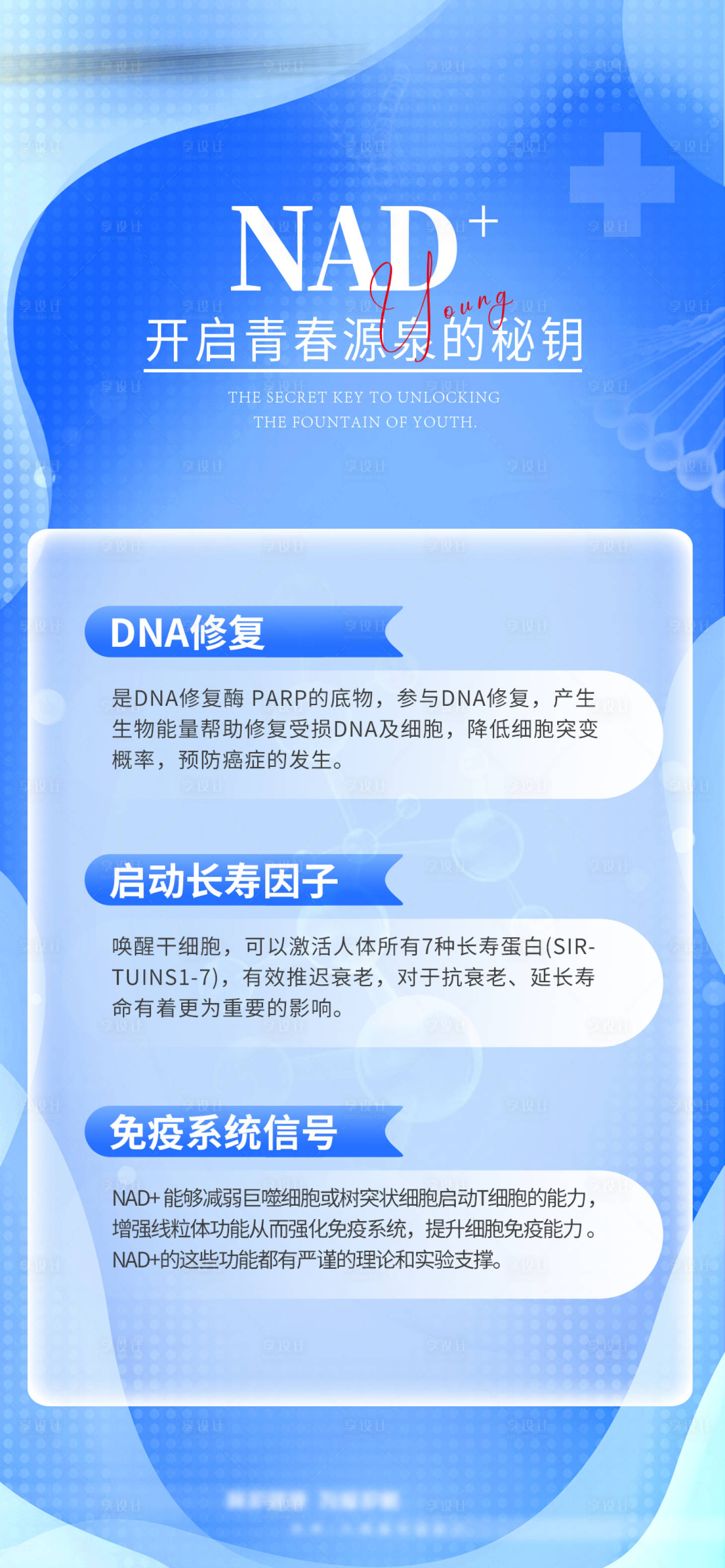 源文件下载【享设计】搜索编号：77380027591428041【NAD+海报】