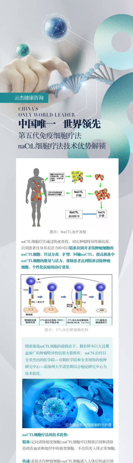 源文件下载【大健康免疫细胞海报】编号：98800027329557322