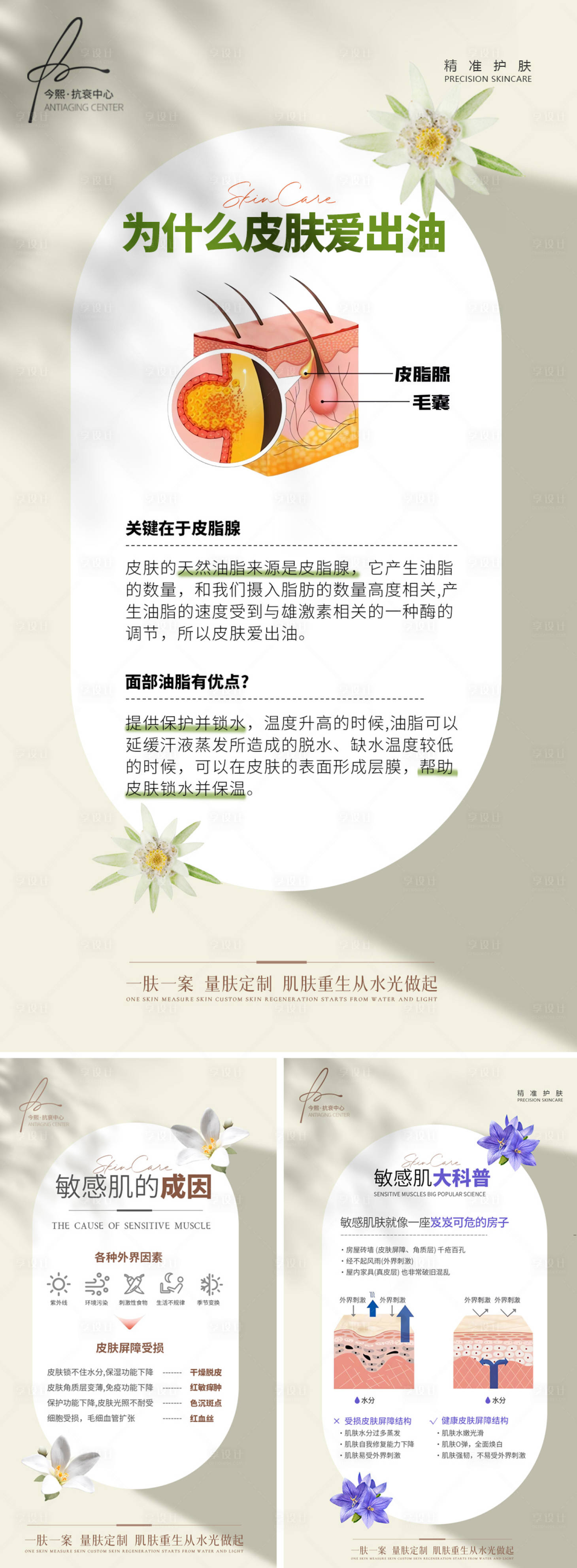 源文件下載【享設計】搜索編號：11330027182221628【敏感皮膚生理學科普知識海報】