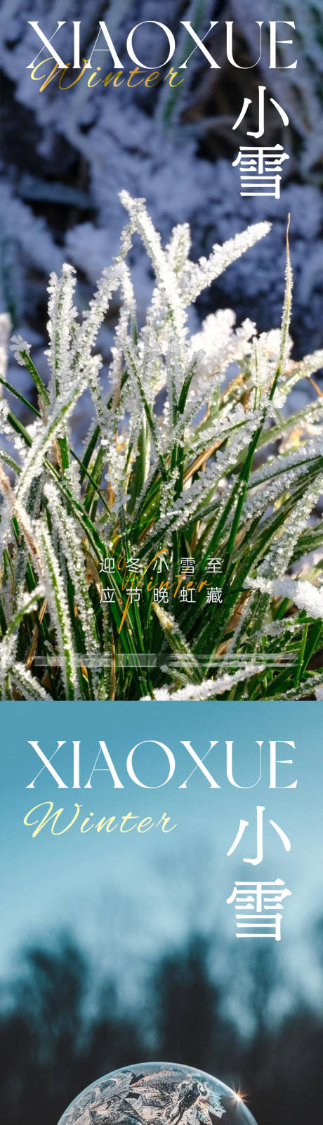 源文件下载【小雪节气海报】编号：49840027418802501