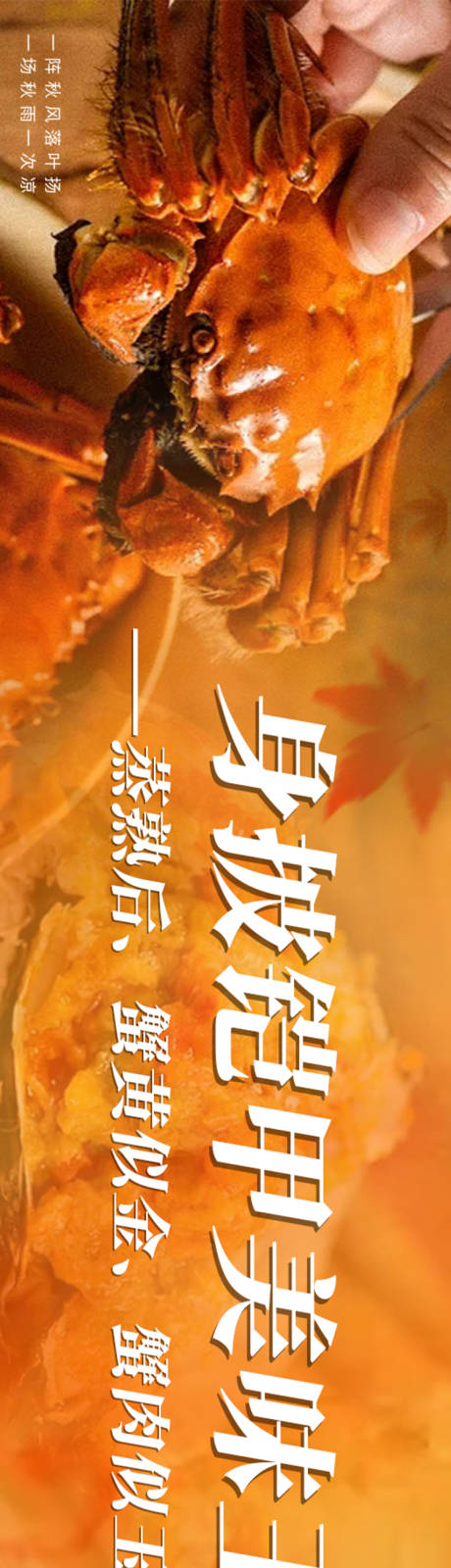 源文件下载【螃蟹大闸蟹秋季五图长图海报】编号：72370027129248476