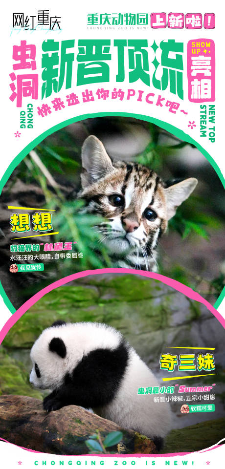 源文件下载【享设计】搜索编号：21820027487497532【重庆动物园宣传海报】