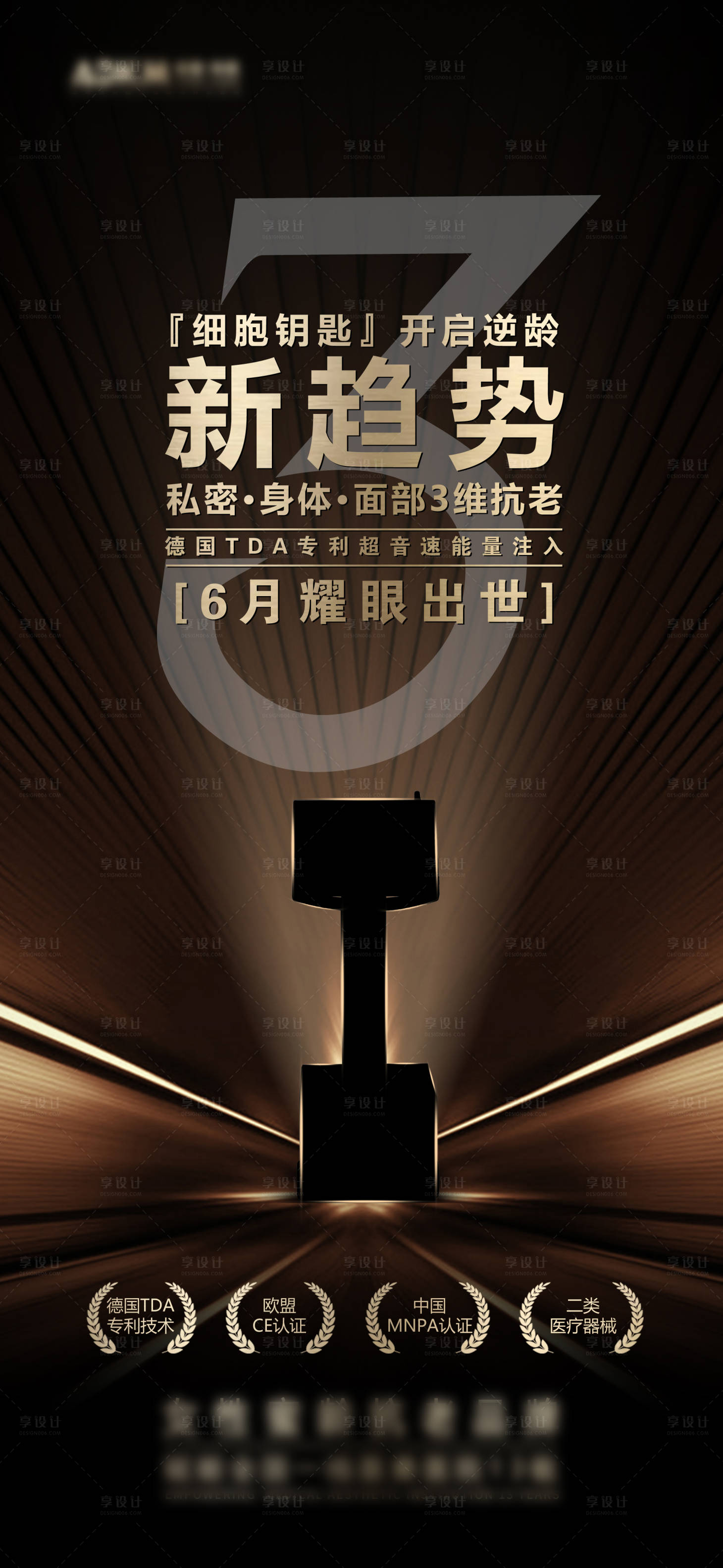 源文件下载【享设计】搜索编号：33170028035272885【医美仪器粽金海报】