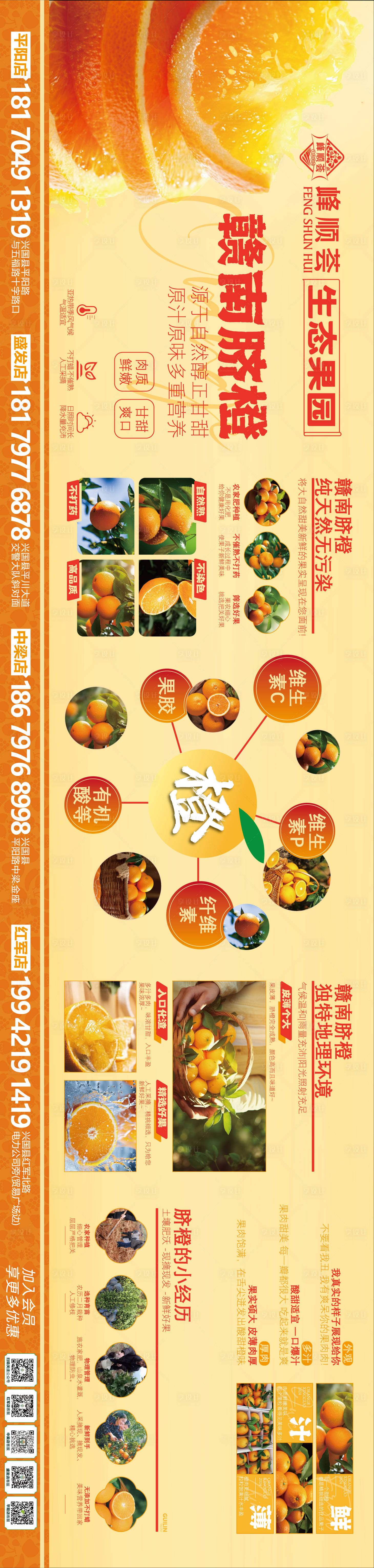 源文件下載【享設計】搜索編號：50220027769262985【贛南臍橙生態水果】