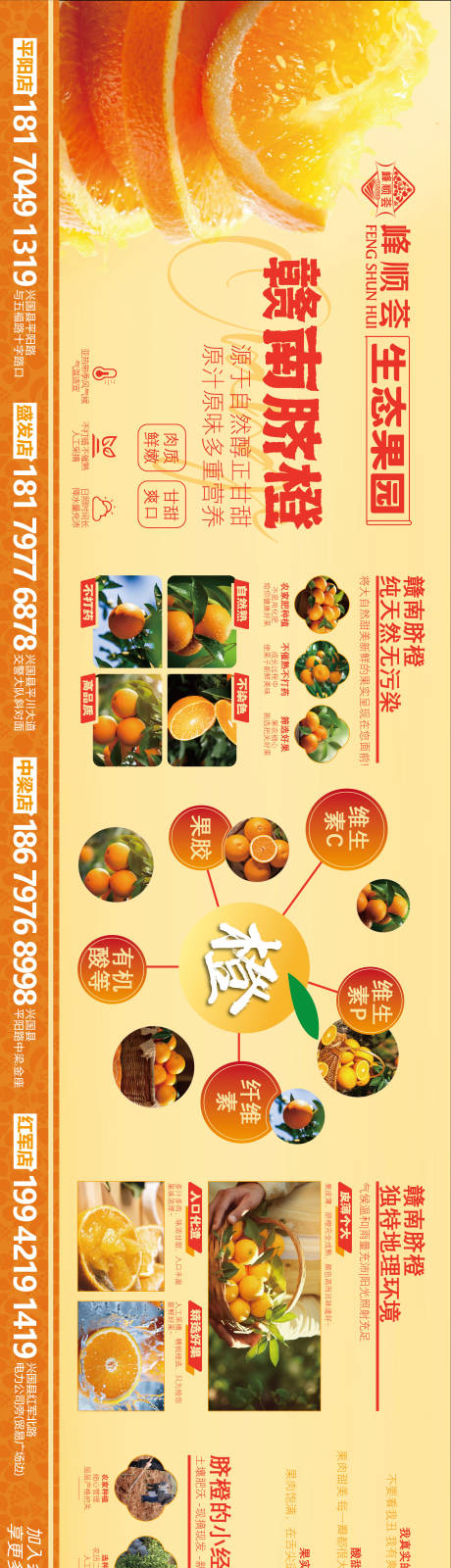 赣南脐橙生态水果