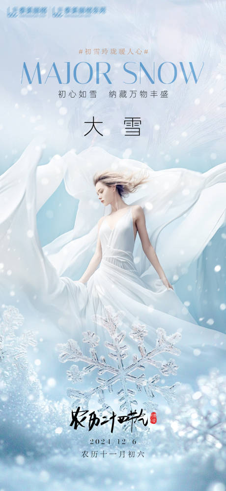 源文件下载【医美大雪节气海报】编号：21340027641141691