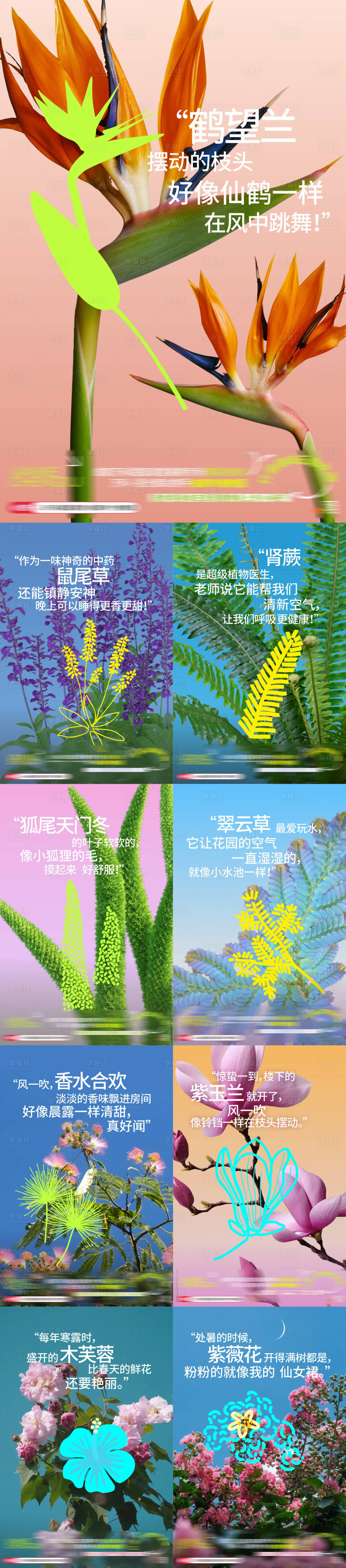 源文件下載【享設(shè)計】搜索編號：56210027757003031【我家有個植物園系列海報】