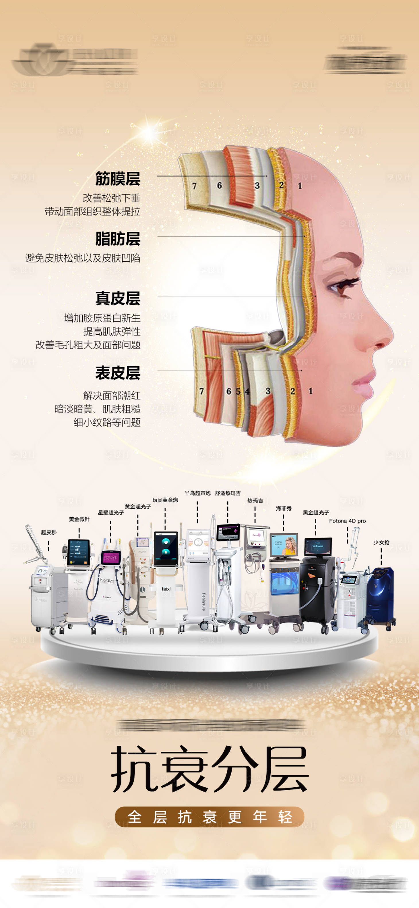 源文件下載【享設(shè)計(jì)】搜索編號(hào)：62210027942568330【分層抗衰 】