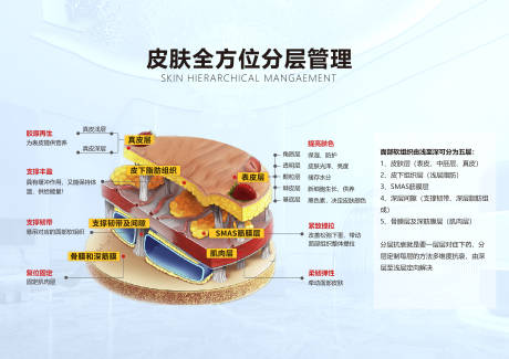 源文件下载【医美美容皮肤结构图】编号：73150027953944189