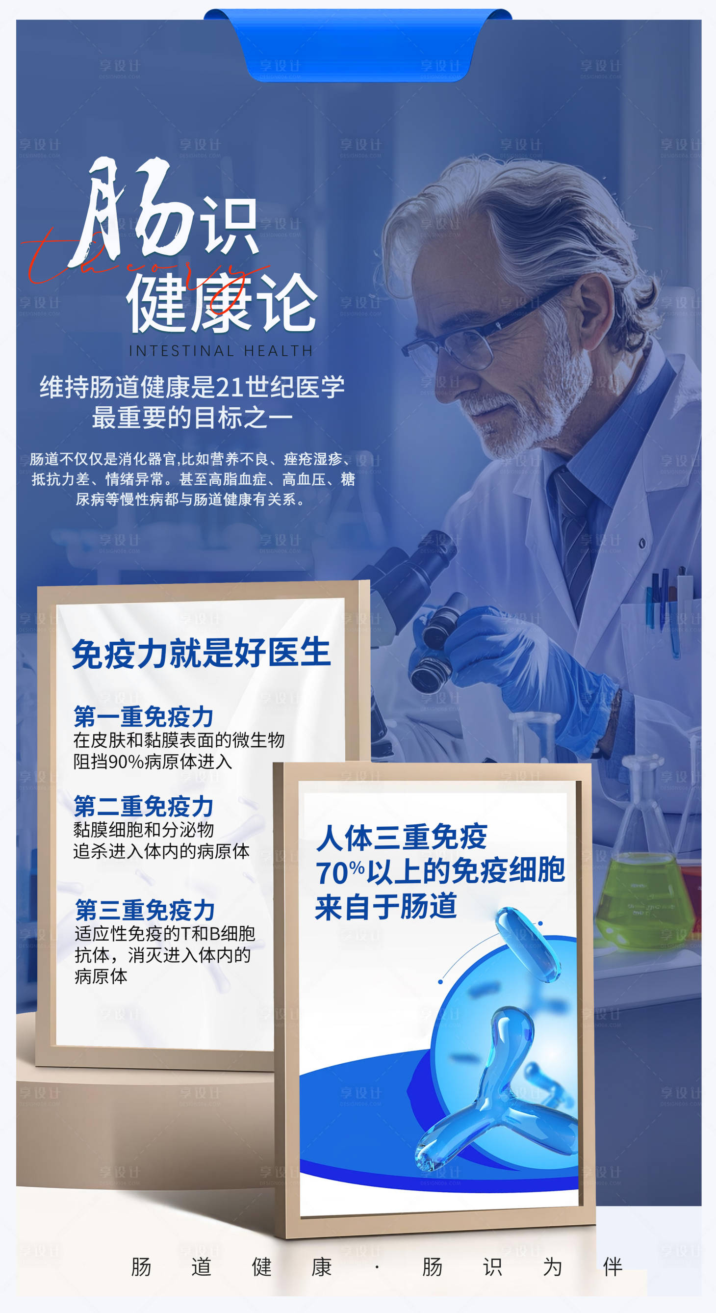 源文件下载【享设计】搜索编号：74170027619363001【肠道健康】