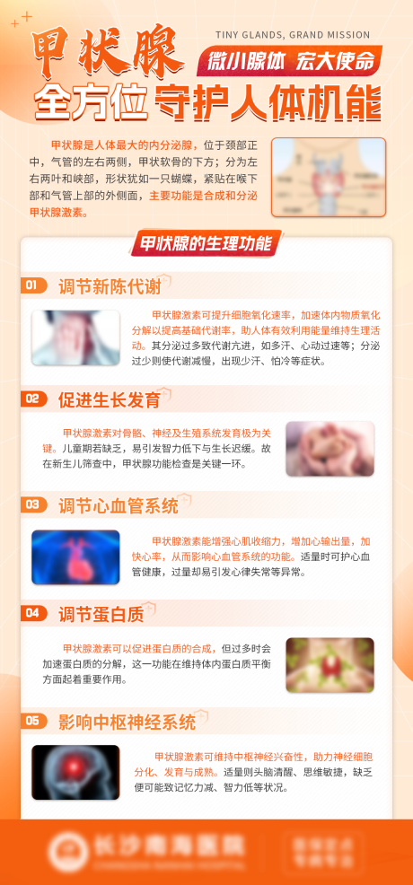 甲状腺疾病海报