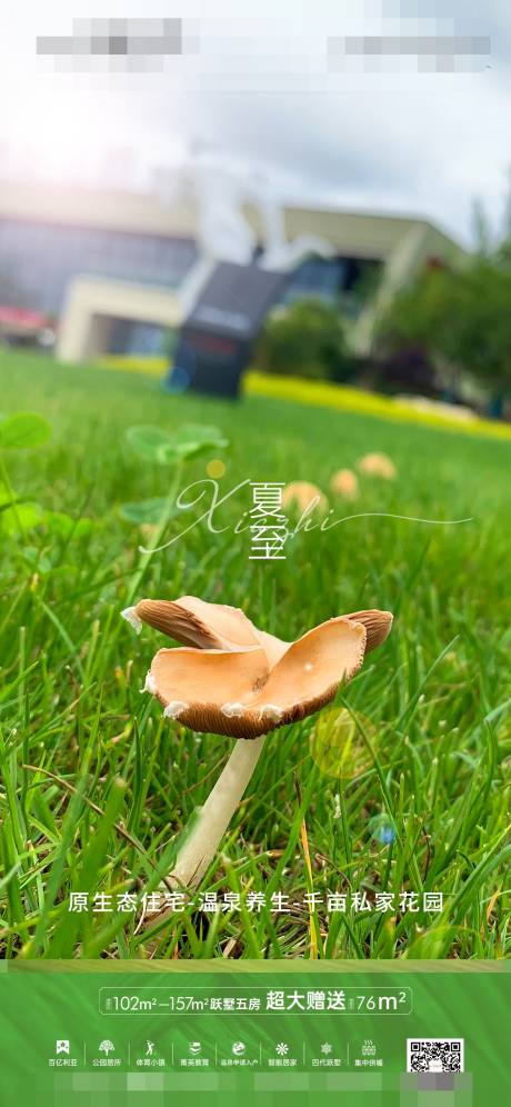 源文件下載【夏至海報】編號：93530027821775416