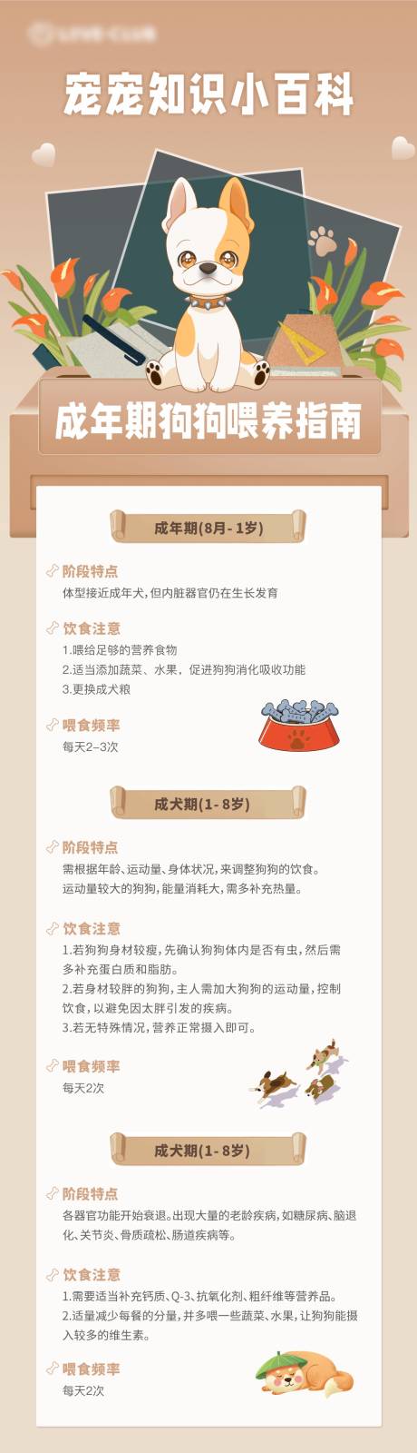 源文件下载【狗狗宠物知识小百科长图海报】编号：69580027875299946