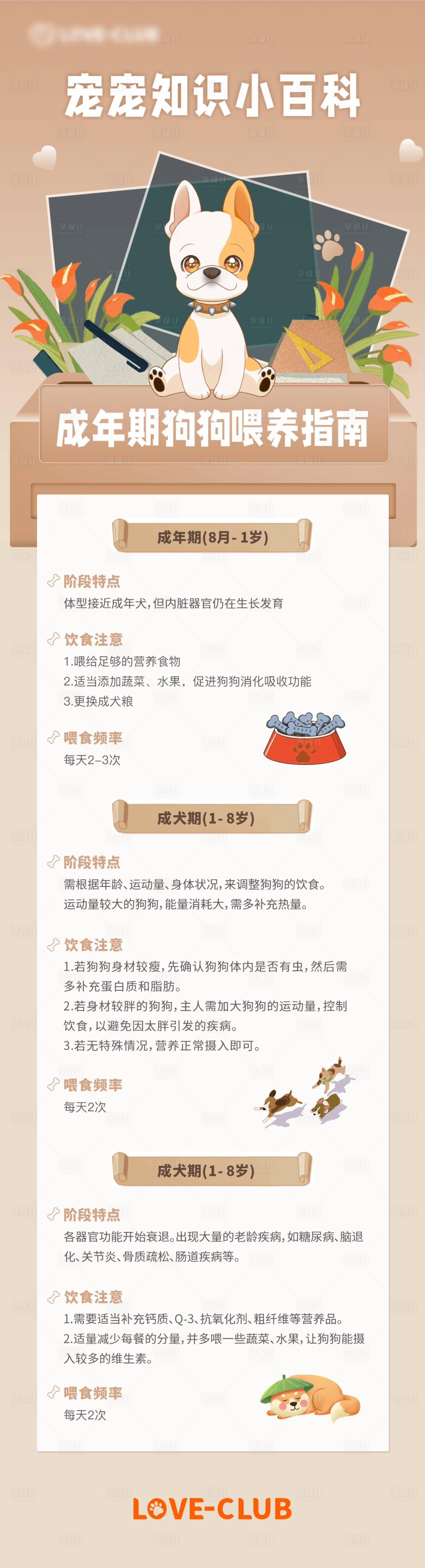 源文件下載【享設(shè)計】搜索編號：69580027875299946【狗狗寵物知識小百科長圖海報】
